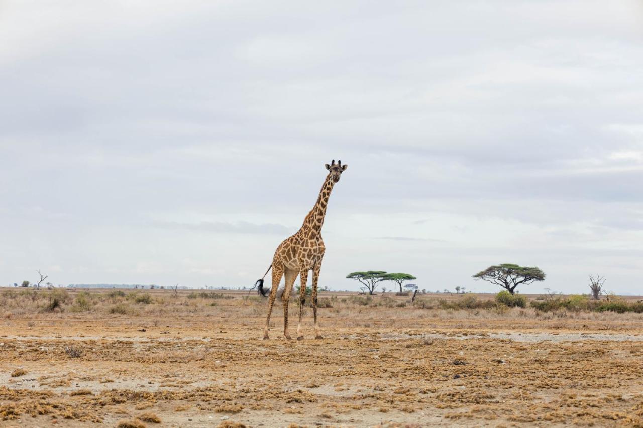 Wild Amboseli Ndovu Cottage. Экстерьер фото