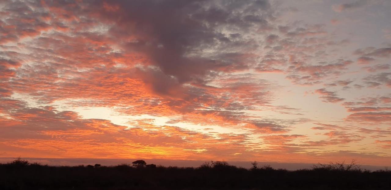 Wild Amboseli Ndovu Cottage. Экстерьер фото