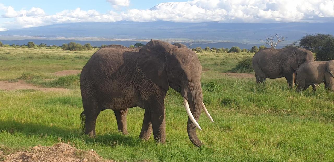 Wild Amboseli Ndovu Cottage. Экстерьер фото