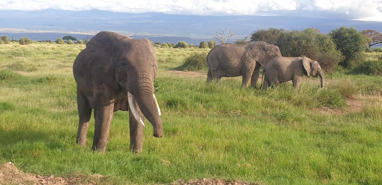Wild Amboseli Ndovu Cottage. Экстерьер фото