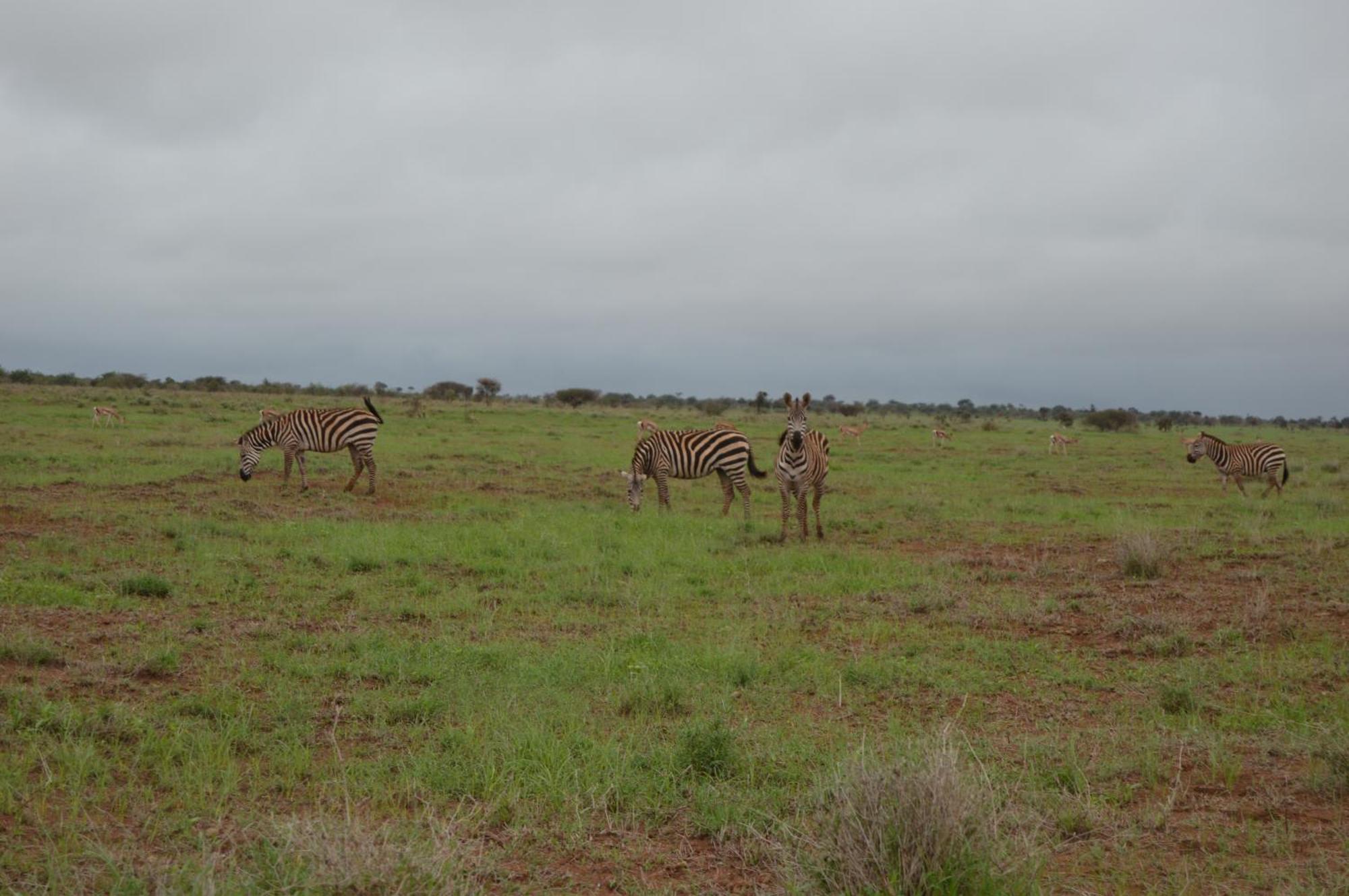 Wild Amboseli Ndovu Cottage. Экстерьер фото