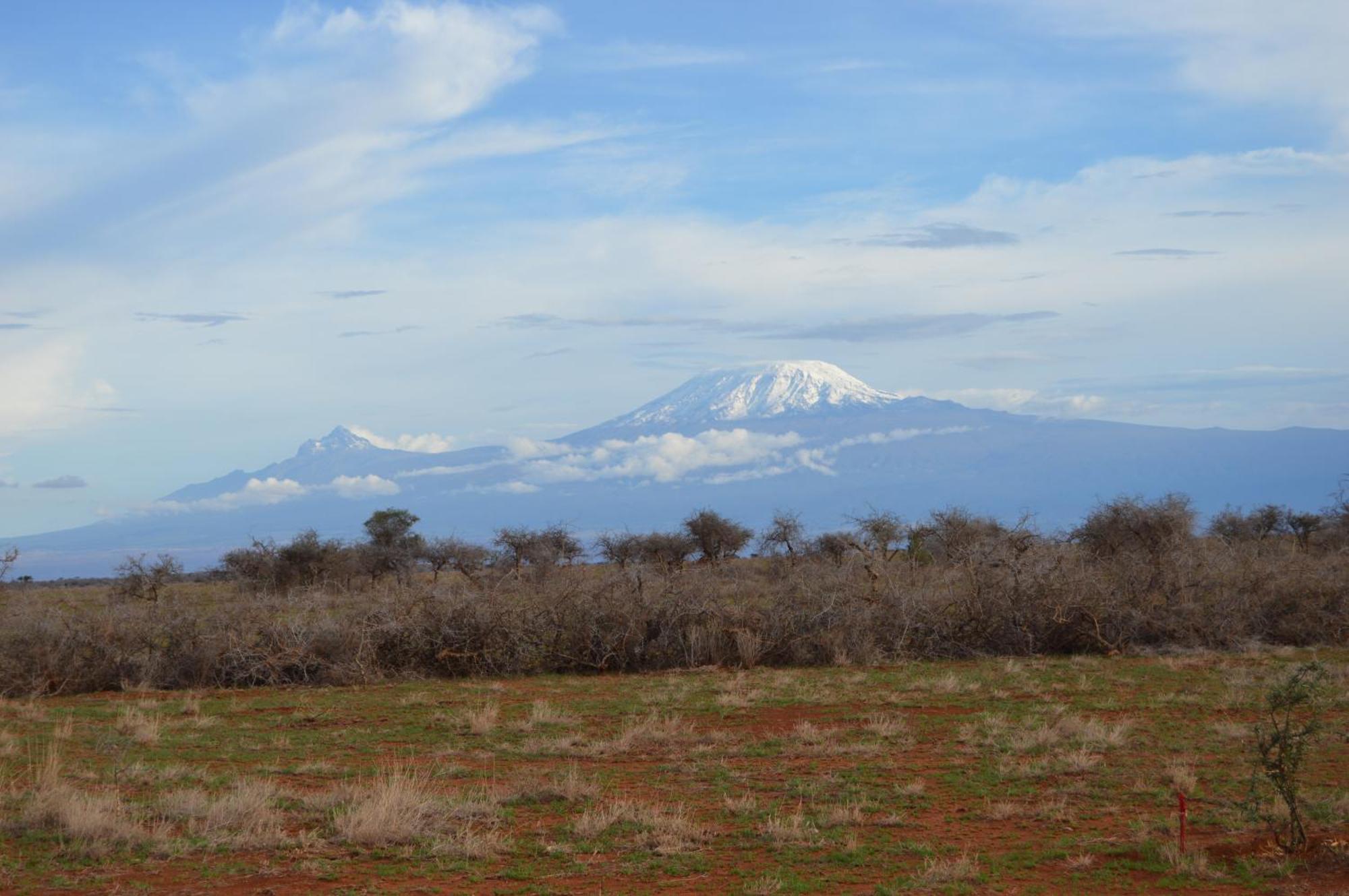 Wild Amboseli Ndovu Cottage. Экстерьер фото